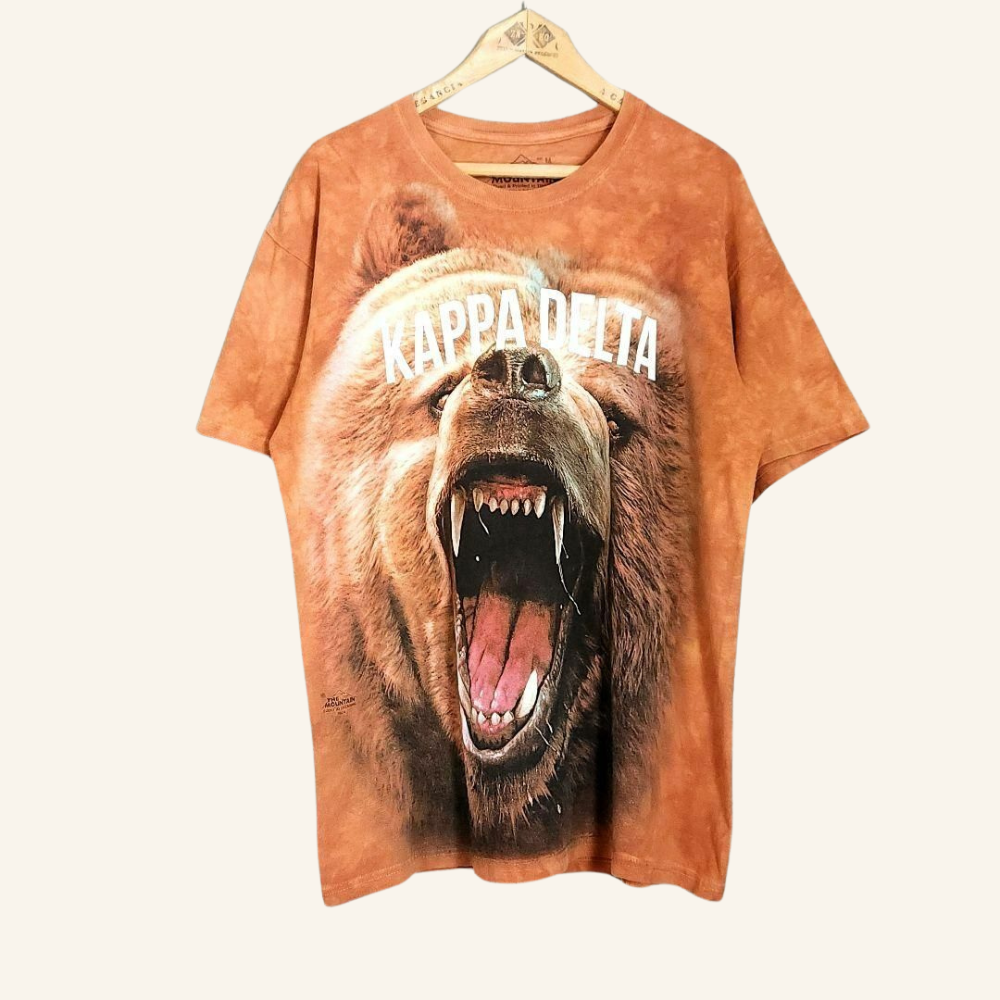 【極美品】ザ・マウンテン ヴィンテージ Tシャツ - 圧倒的存在感 グリズリーベア アート | 稀少 入手困難